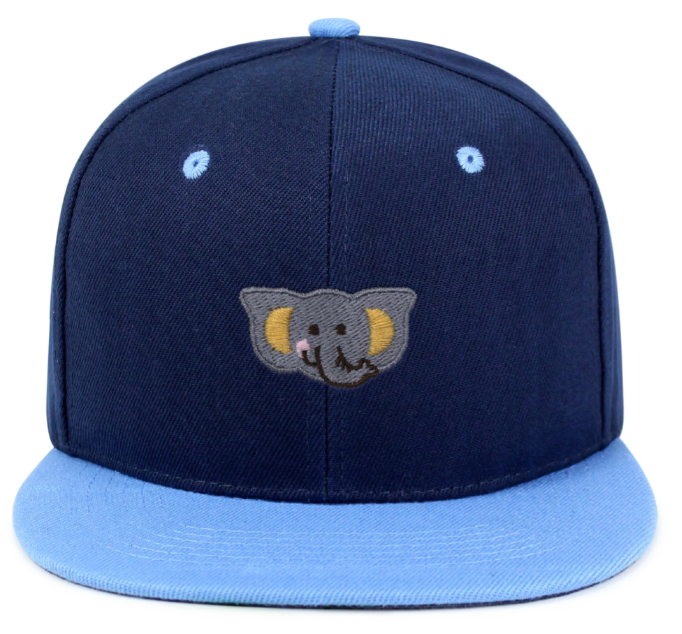 Customize Embroidered Flat Brim Snapback Hat for Unisex Navy Blue with Light Blue Adjustable Cap for Casual Streetwear Polyester