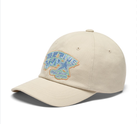 High Quality Customizable Embroidery Pattern Baseball Cap European and American Style Fitted Terry Curved Brim