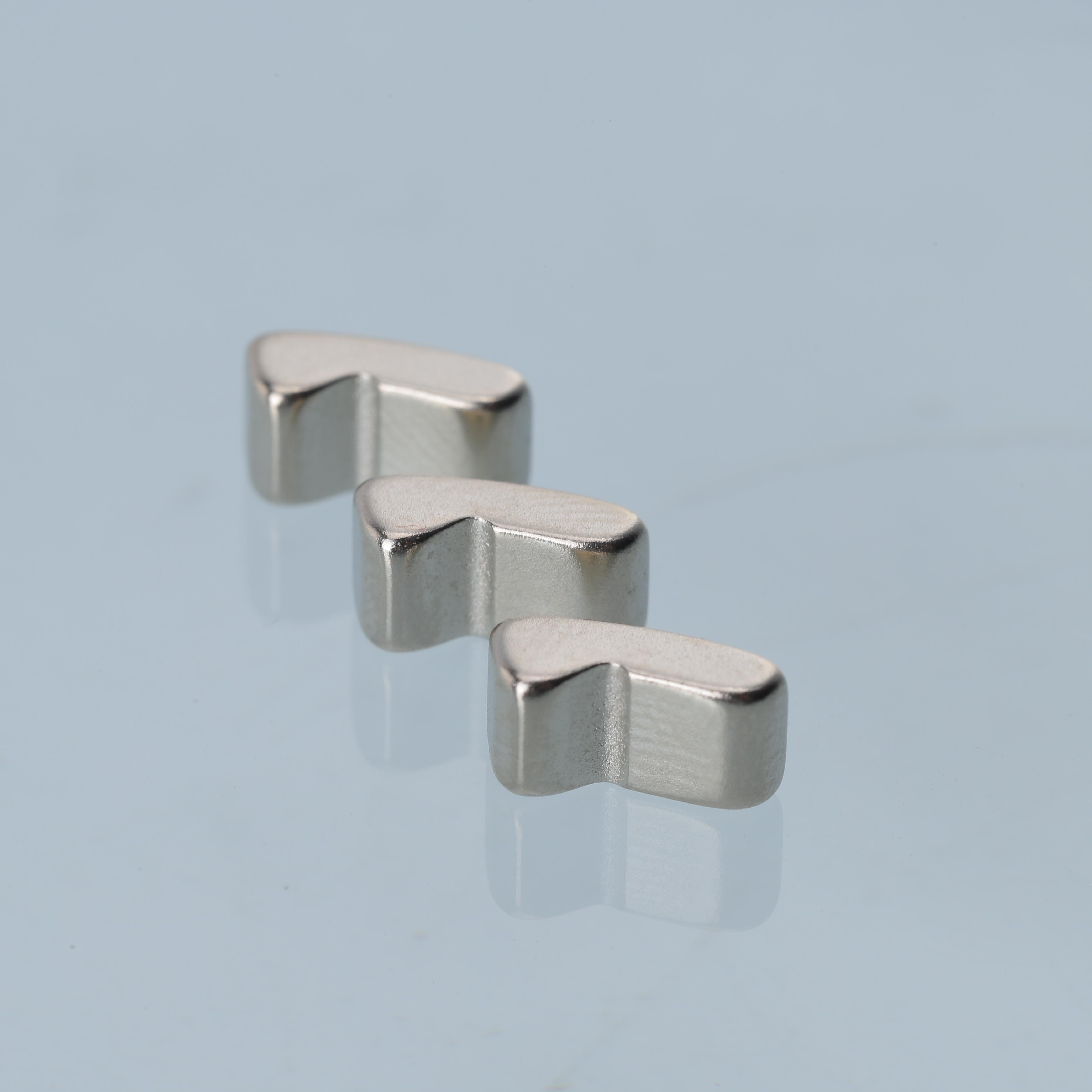 Custom-Shaped High-Performance Rare Earth Neodymium Magnet(1)
