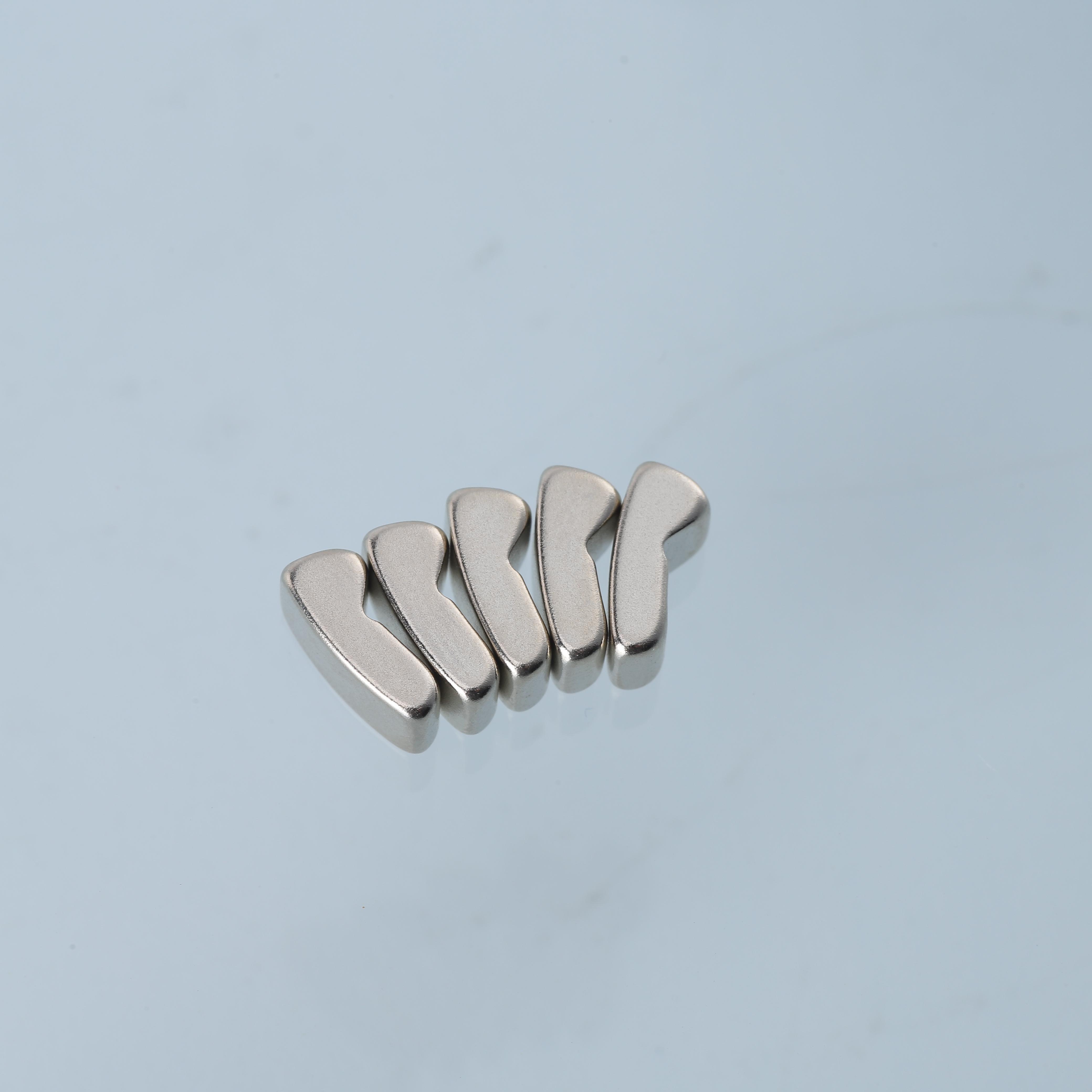 Custom-Shaped High-Performance Rare Earth Neodymium Magnet(1)