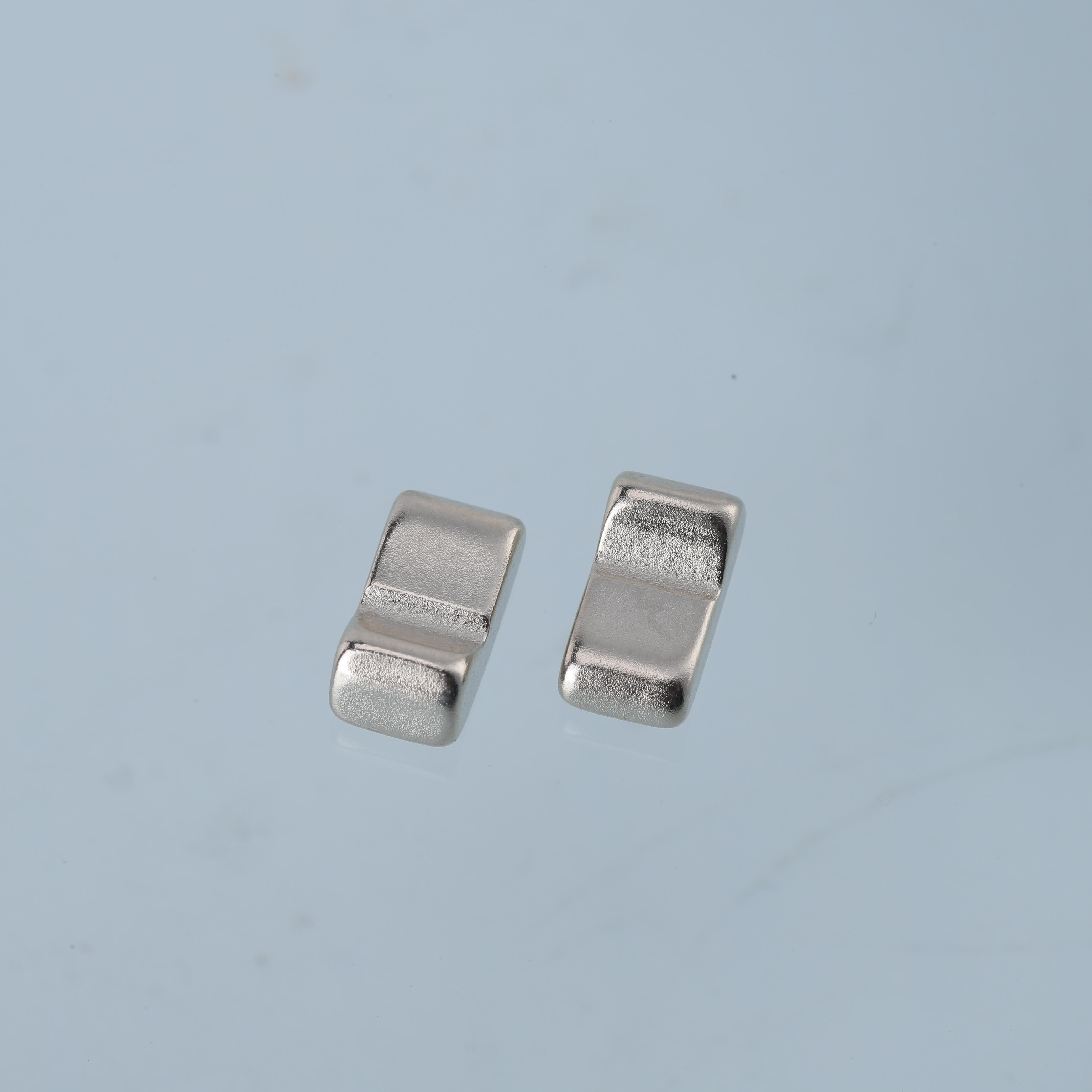 Custom-Shaped High-Performance Rare Earth Neodymium Magnet(1)