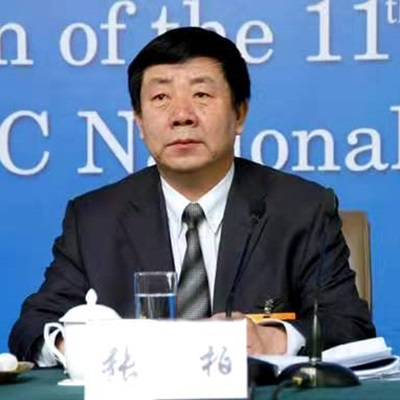 张柏（首席专家）