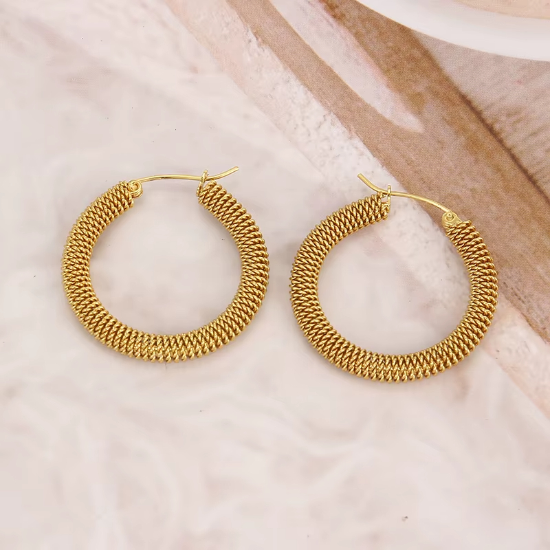 European and American New Fashion Earrings Stainless Steel Gold Plated Thin Circle Creative Earrings Women's Earrings