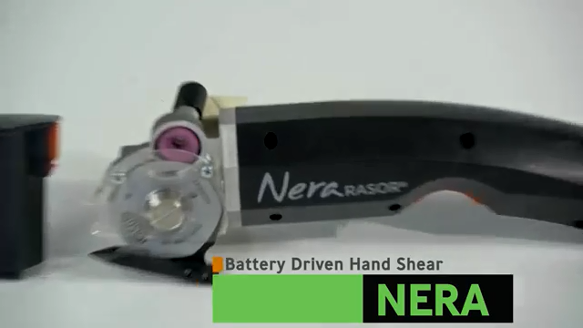 意大利 RASOR-NERA