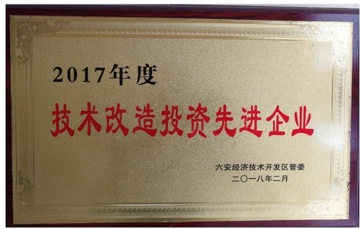 2017年技术改造投资先进企业