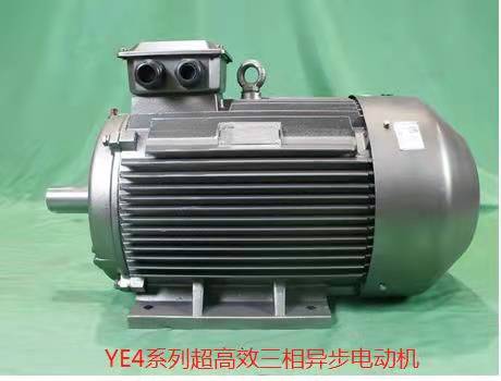 YE4 super-efficient series three-phase asynchronous motor