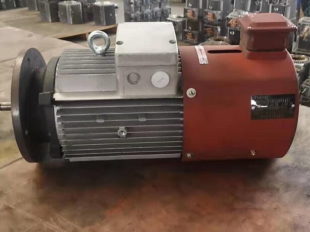 Reducer directly connected motor