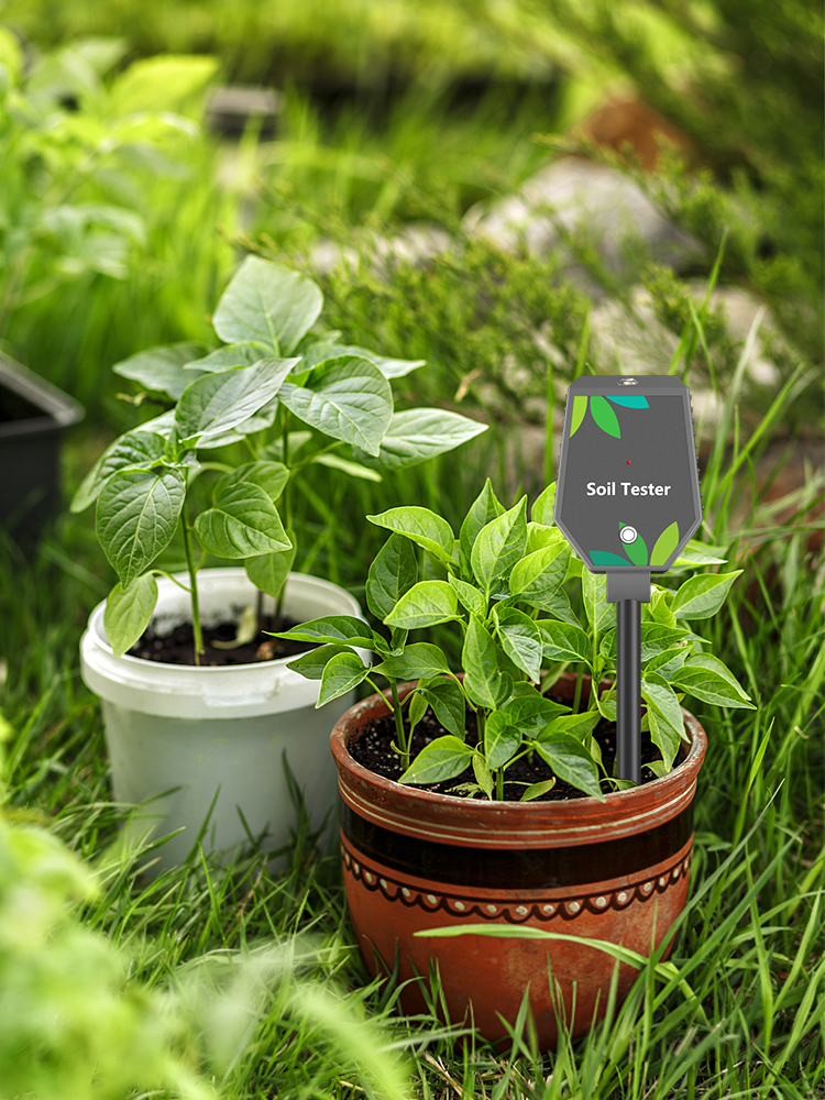 Multi-Parameter Soil Analysis Device for Professional Agronomy