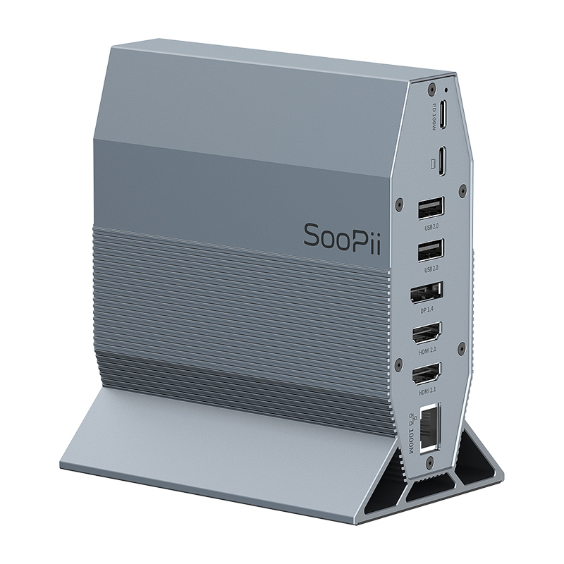 DS200 Desktop Docking Station 15 in 1