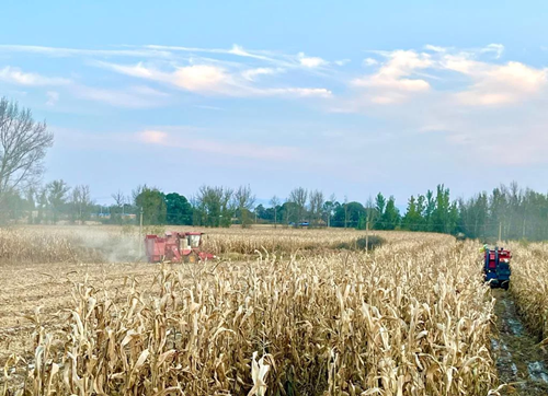 品读三晋大地秋收图