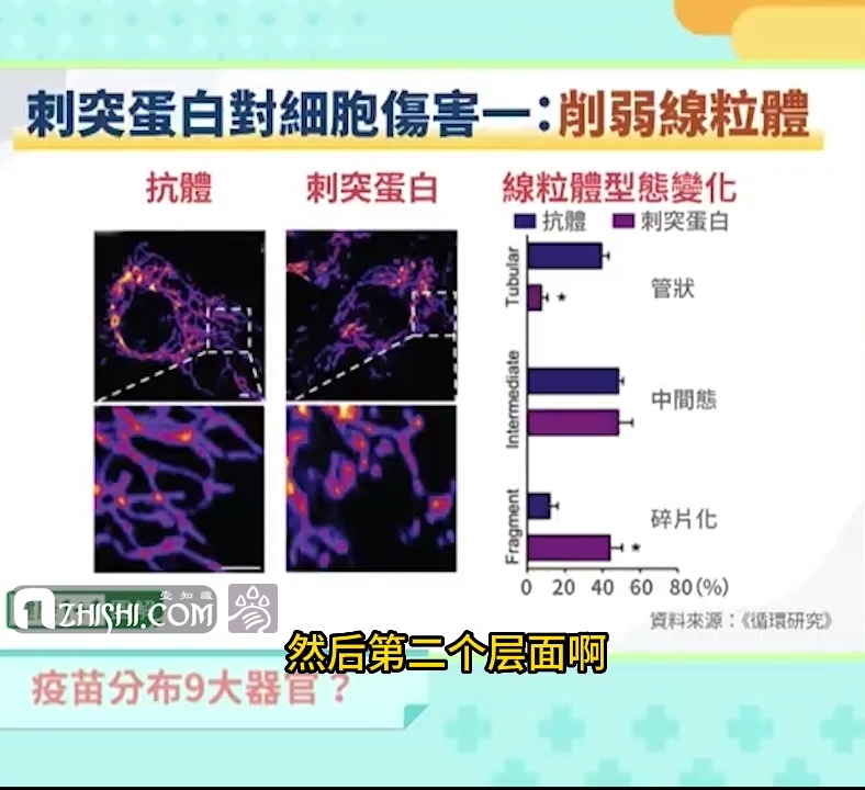 刺突蛋白削弱DNA修复能力Spike protein weakens DNA repair ability_COVID-19 vaccine injury_1zhish_台湾媒体2021年对新冠疫苗副作用的专家解读【第10集】