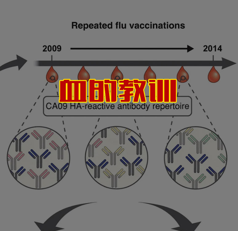 血的教训！免疫印记、共生关系和奥密克戎（第一部分）2022年六月 接种疫苗的被感染病毒的概率更大 【1】