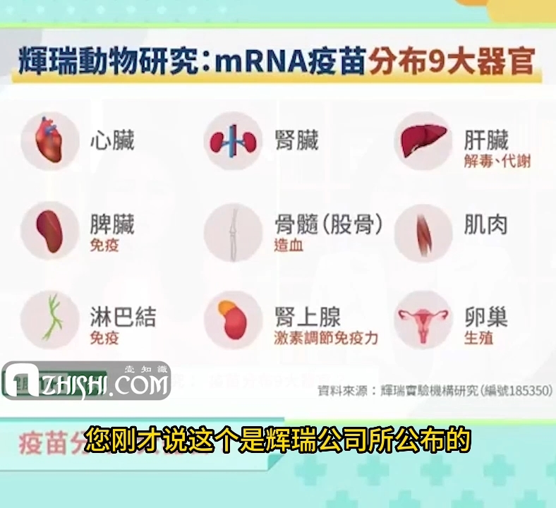 台湾媒体2021年对新冠疫苗副作用的专家解读【第2集】mRNA疫苗分布人体九大器官总览COVID-19 vaccine injury_1zhish