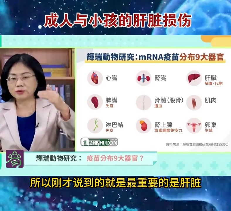 肝脏疾病不能不考虑的因素——台湾媒体2021年对新冠疫苗副作用的专家解读【第7集】COVID-19 vaccine injury_1zhish_Factors that cannot be ignored in liver disease