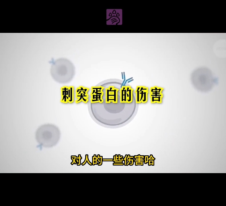 什么是刺突蛋白?台湾媒体2021年对新冠疫苗副作用的专家解读【第9集】COVID-19 vaccine injury_1zhish_What is spike protein