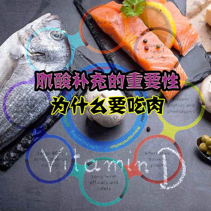 什么是肌酸？吃肉对老年人的重要性