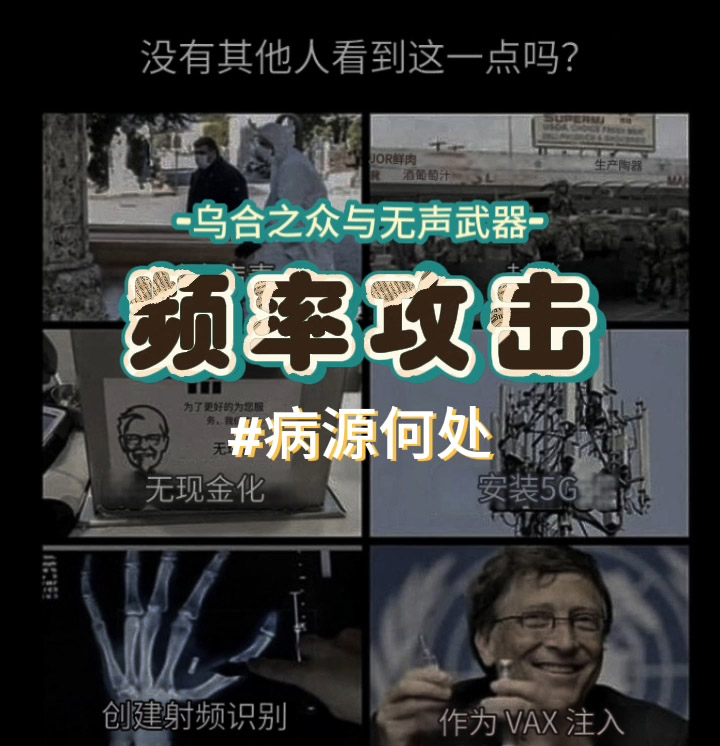 频率攻击乌合之众——2003年美国加州电台的采访片段：无声武器入侵大脑