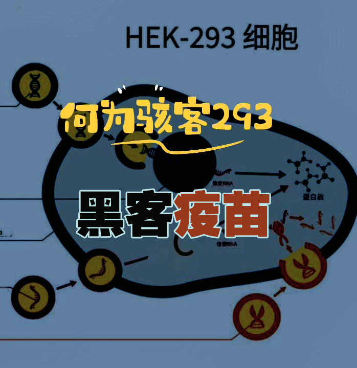 什么是骇客疫苗？为什么你会得癌症？HEK293分布在所有疫苗中的充分证据（2023年被屎官们禁止发布的）
