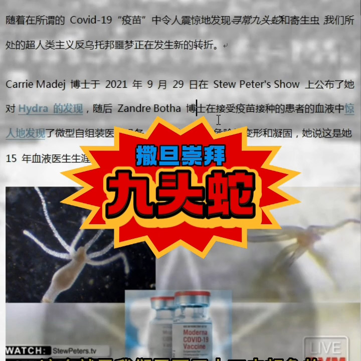 九头蛇疫苗（四）撒旦崇拜·水螅虫疫苗Nine-headed Snake Vaccine (IV) Satanic Worship · Hydra Vaccine