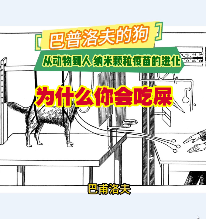 巴普洛夫实验——从动物到人的应用