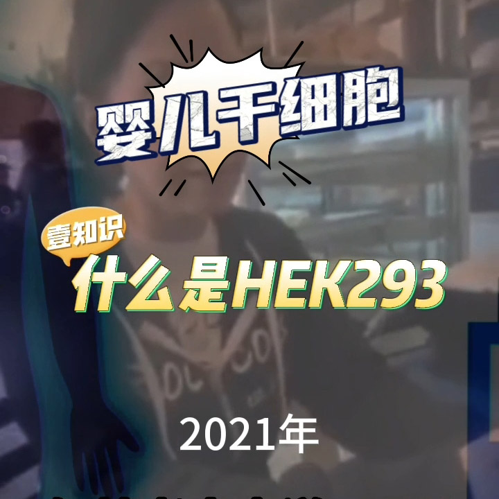 什么是HEK293?【壹知识】