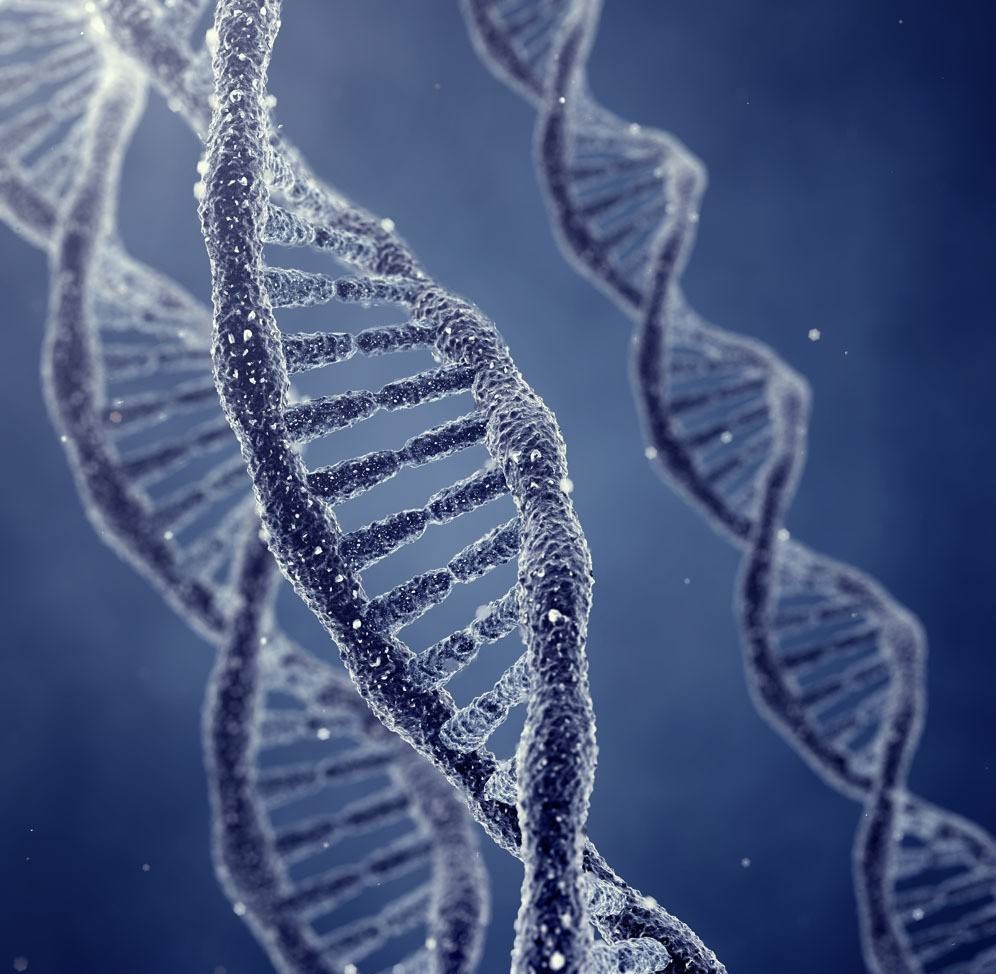 DNA用作数字数据存储设备：1克DNA可以存储多少数据？