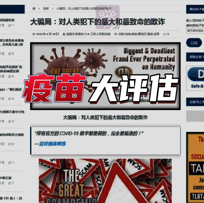 12国专家组2021年对全球新冠疫苗主要成分的调查