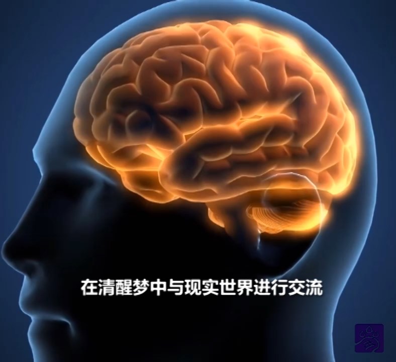 窹与醒-part2 在清醒梦中与现实交流_梦系列知识