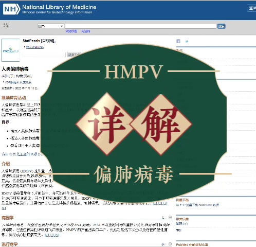 HMPV偏肺病毒与核酸检测