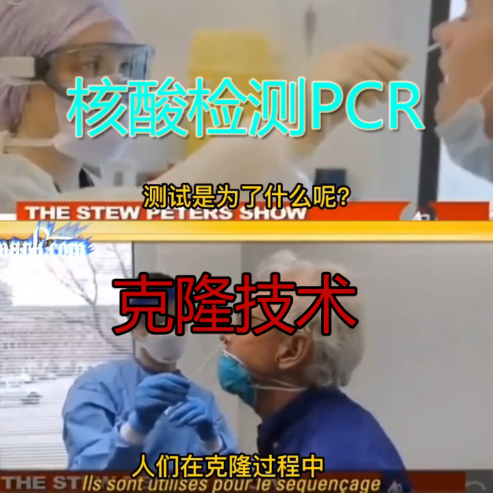 核酸检测的另一面：DNA克隆技术与PCR应用