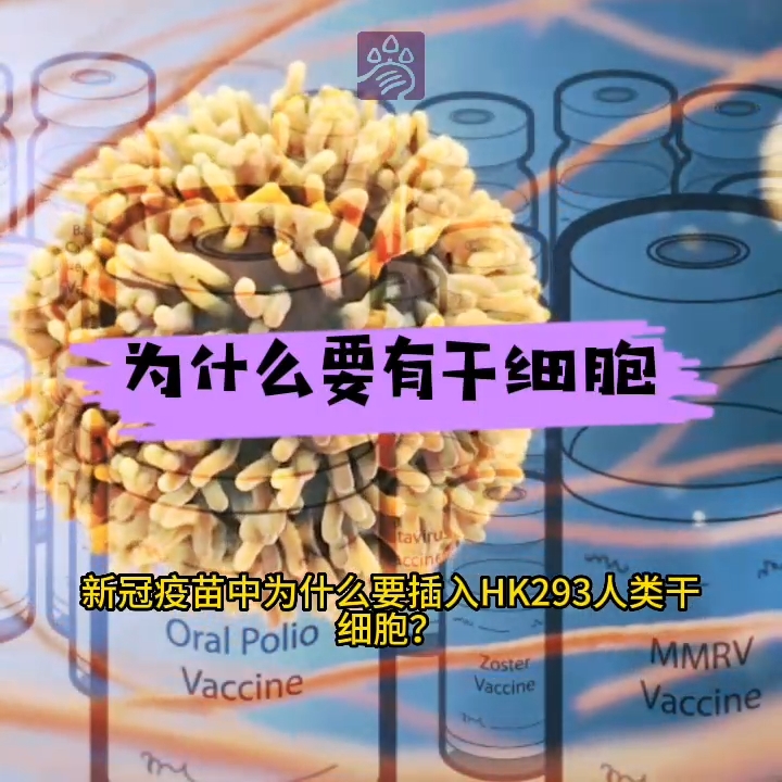 奇美拉寄生与转基因人类（干细胞）