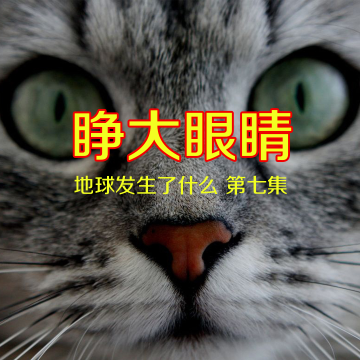 睁大眼睛——地球发生了什么 第七集