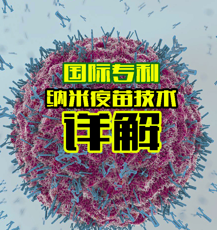 纳米疫苗国际专利CN版是什么？