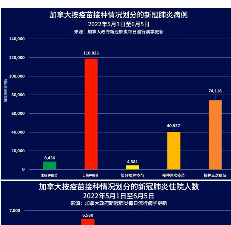 免疫印记、共生关系和奥密克戎【2】免疫印记从娃娃抓起