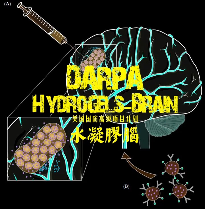 为什么你需要学做人？因为你一不小心就做了狗。Learn to be a human, not a dog