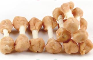 Dog chewing snacks 13