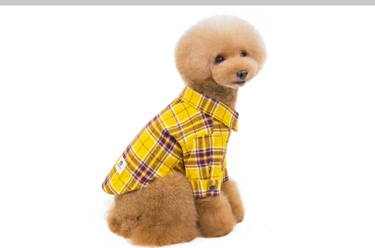 100% cotton checks shirt