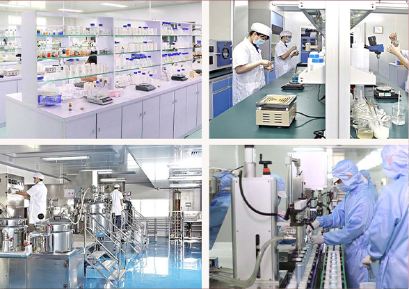 Zhuhai Yiniya Cosmetics Co., Ltd.: Crafting High-Quality Eye Makeup with Precision, Leading the Industry with One-Stop Customization Services