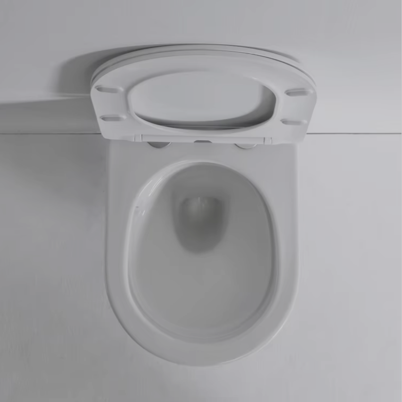 2419 4.5L Vortex Wall Hung Toilet