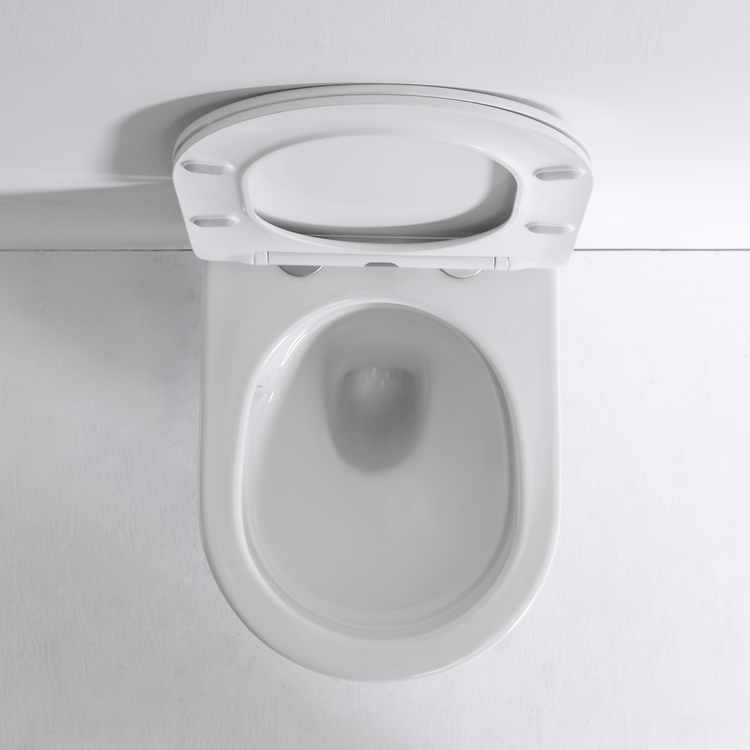 New Vortex Wall Hung Toilet with Silent Vortex Flushing - Model BF2419E