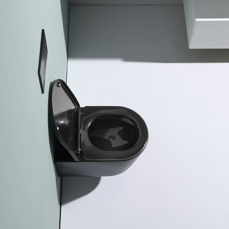 Wall Hung Toilet BF2366C-Matt