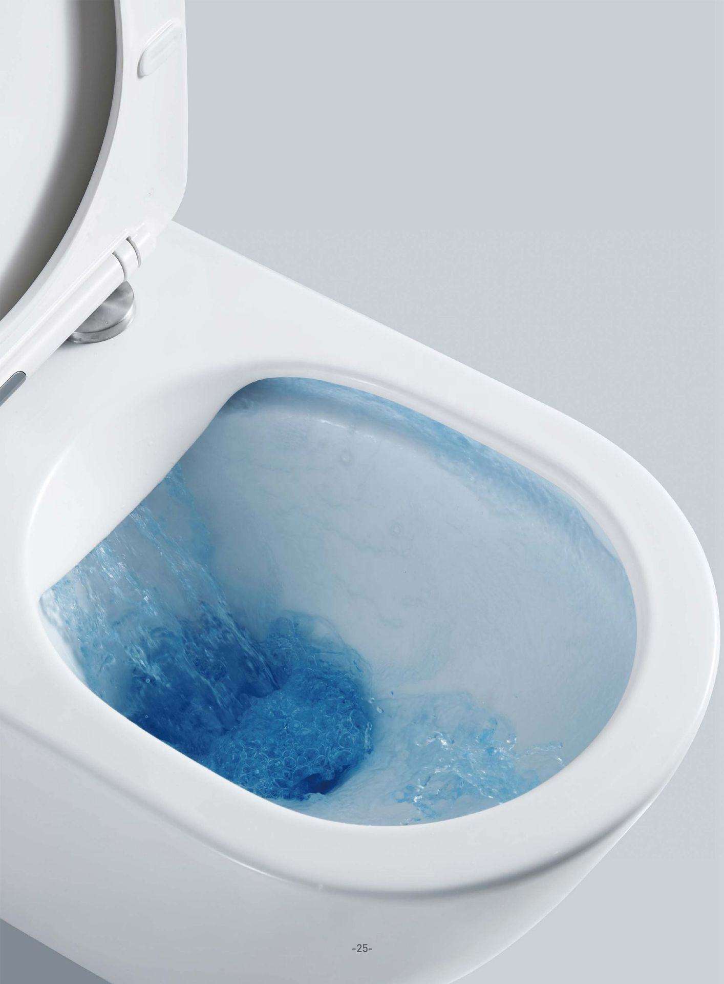 Rimless White Wall-Hung Toilet with Soft Close Seat – Hygienic Ceramic WC