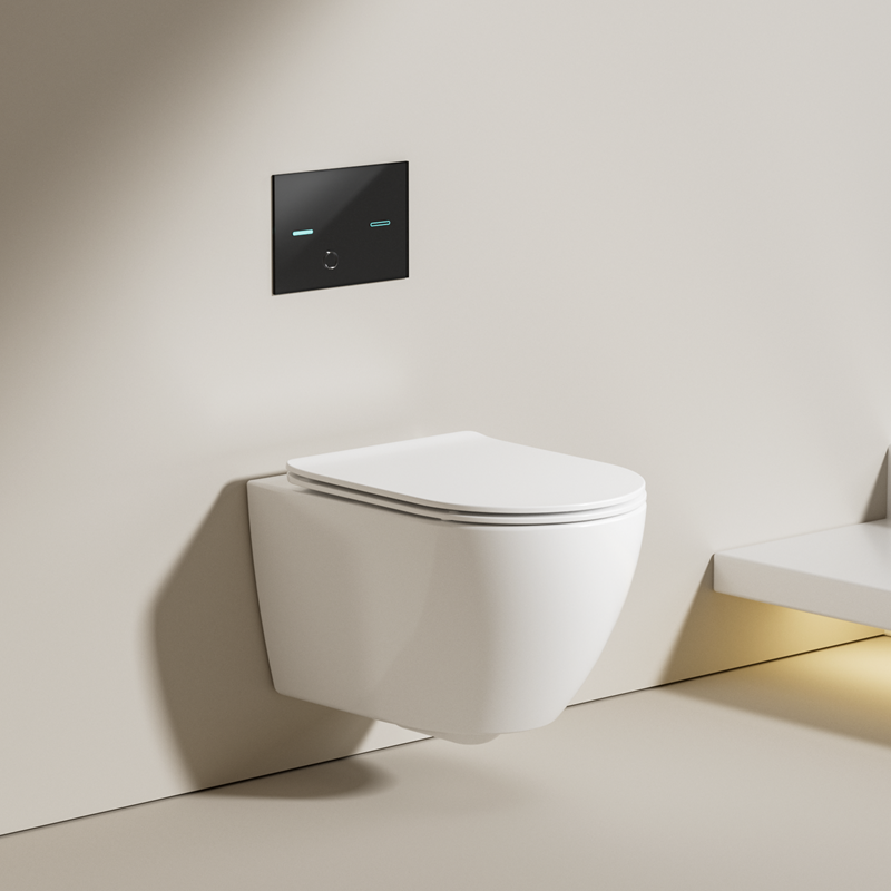 2416 Vortex Wall Hung Toilet, Rimless, Soft Closing Seat, Dual Flush, Modern Ceramic Bathroom WC