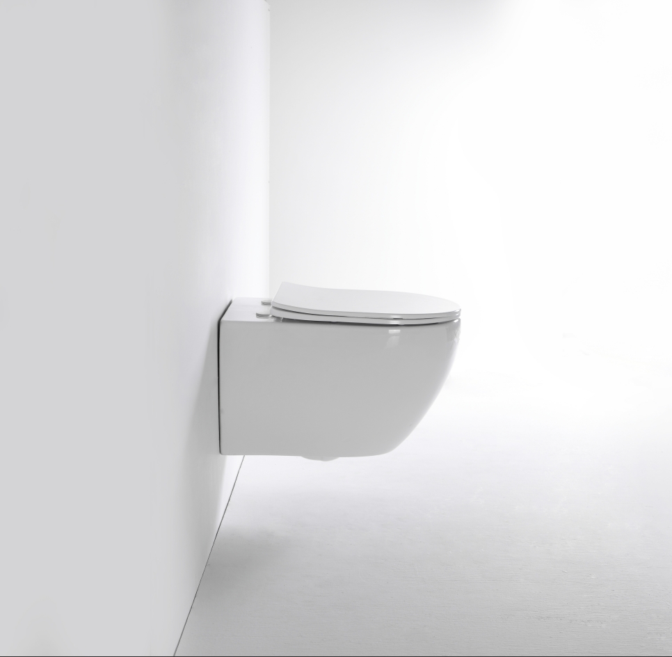 2416D Wall-Hung Toilet