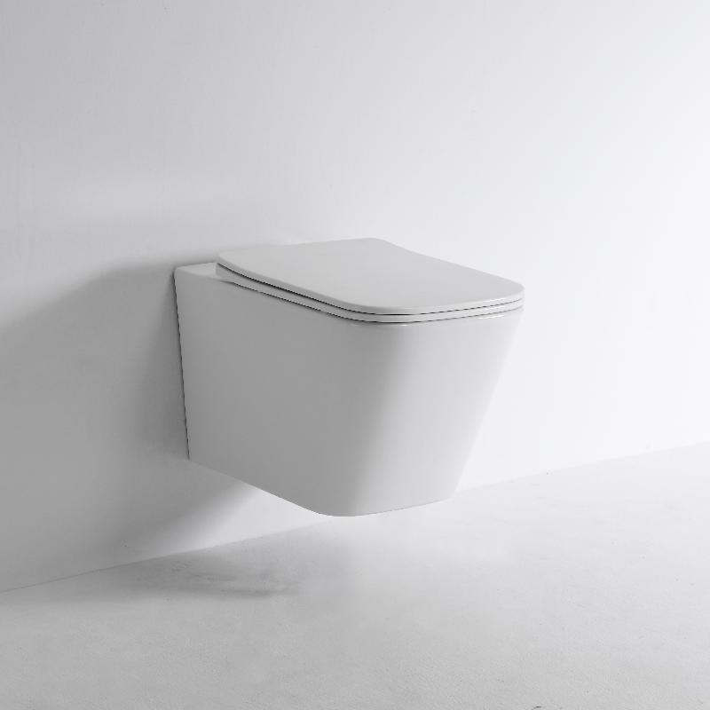 BF2417D Wall-Hung Toilet - Compact Vortex Flush Design