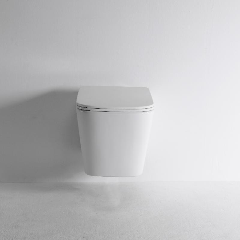 BF2417D Wall-Hung Toilet - Compact Vortex Flush Design