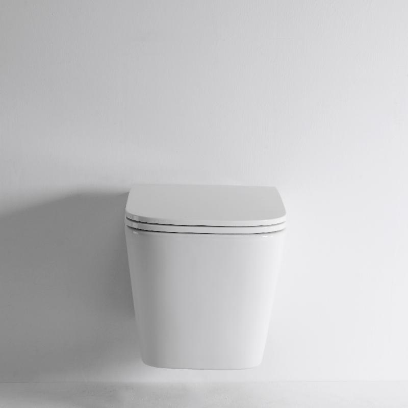 Quiet and Powerful Flushing Ceramic Wall Hung Toilet - Model 2417E