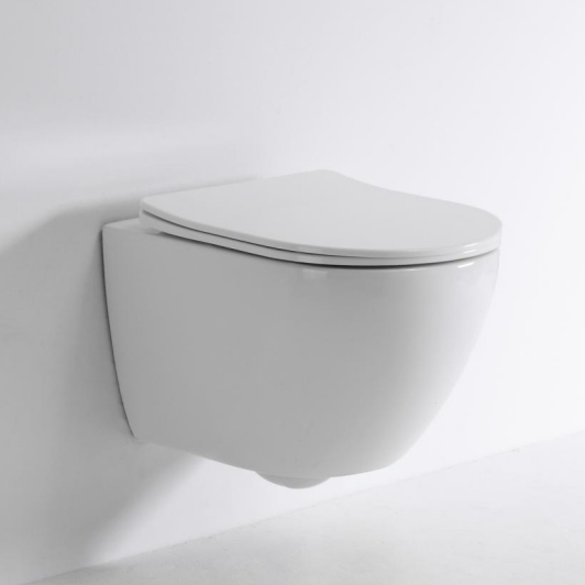 2418D Wall-Hung Toilet