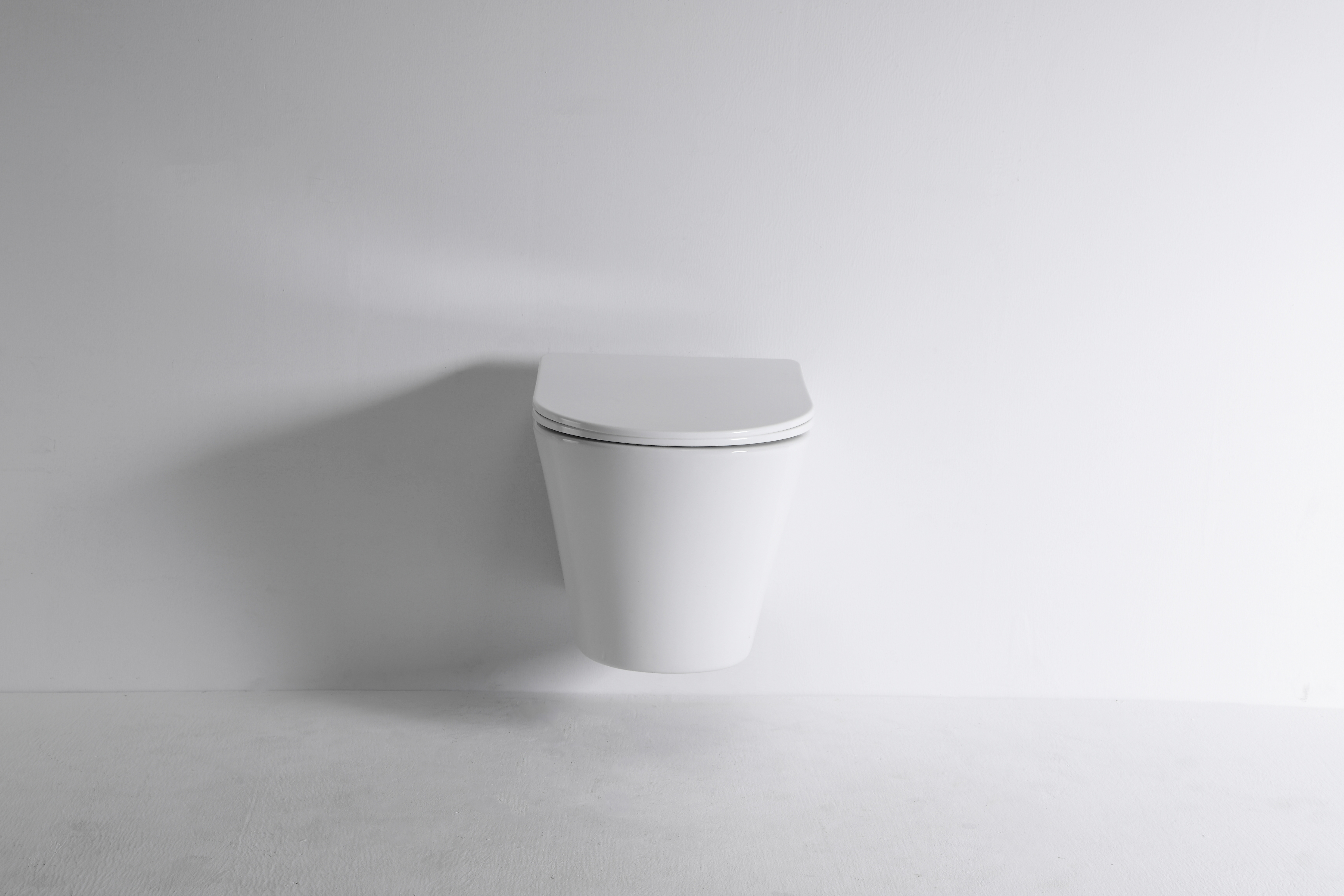 Elegant Wall-Hung Toilet 2419D – Rimless, Silent Flush Ceramic WC