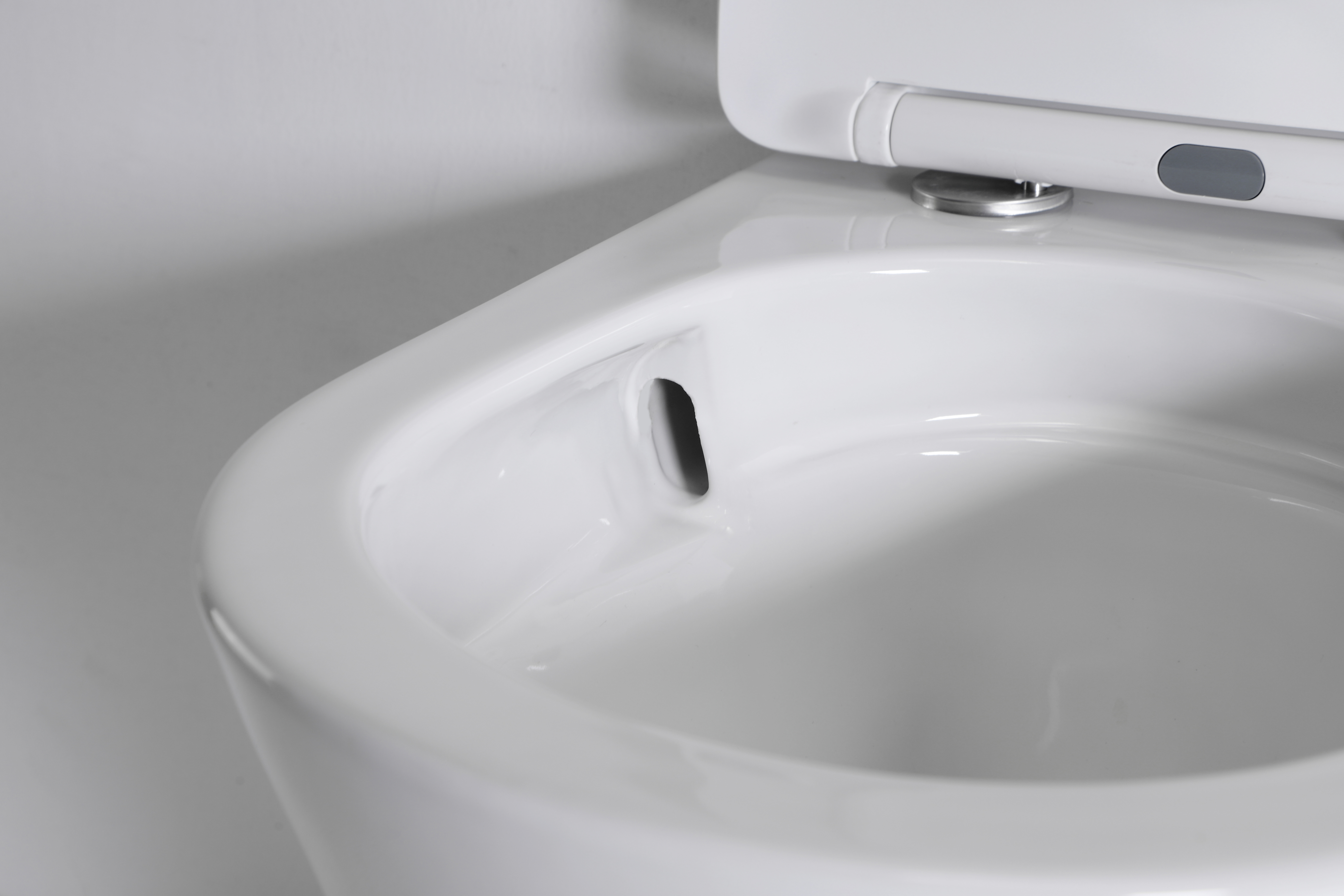 Wall-Hung Toilet Model 2419 with Vortex 4.5L Flush – Sleek Contemporary Design